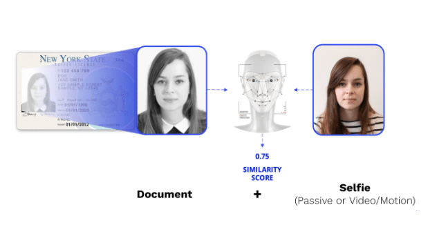 Biometric blog: Document and Self similarity